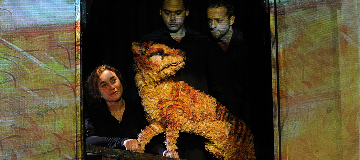 The Dream of the Thylacine :: Australian Performing Arts Market